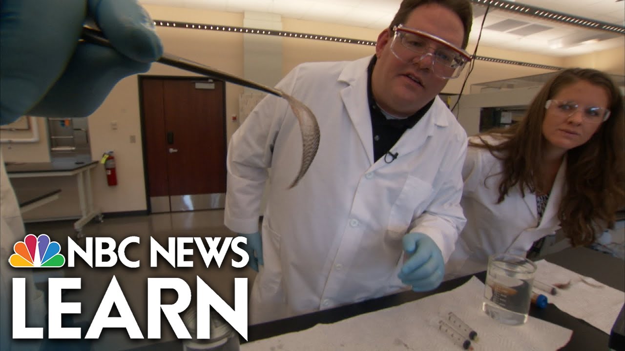 How to Wash an Ocean: Testing Chemical Dispersants on Oil Spill Clean-Up