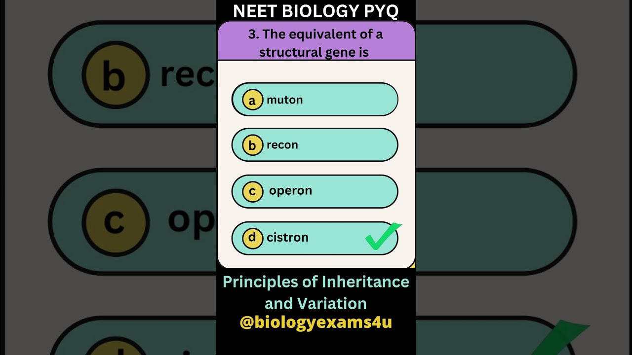 Molecular Basis of Inheritance MCQ | NEET Biology Practice Questions | Genetics Quiz #biologyexams4u