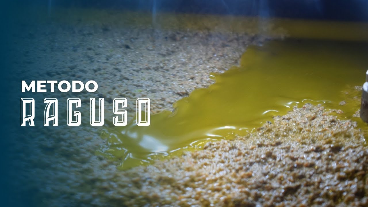 Il Metodo Raguso per la produzione dell'olio extravergine d'oliva