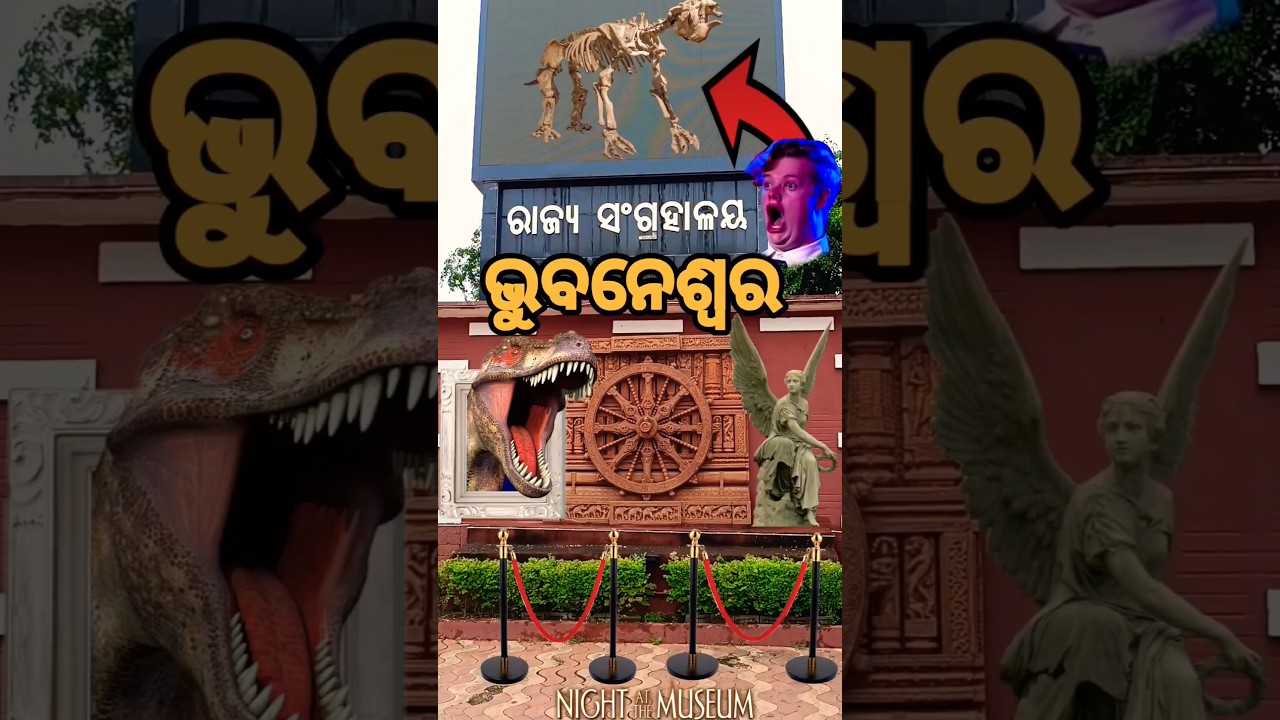 State Museum 😲 Bhubaneswar Odisha #museum #odisha #bhubaneswar #bhubaneswarnews #odia #travel #vlog