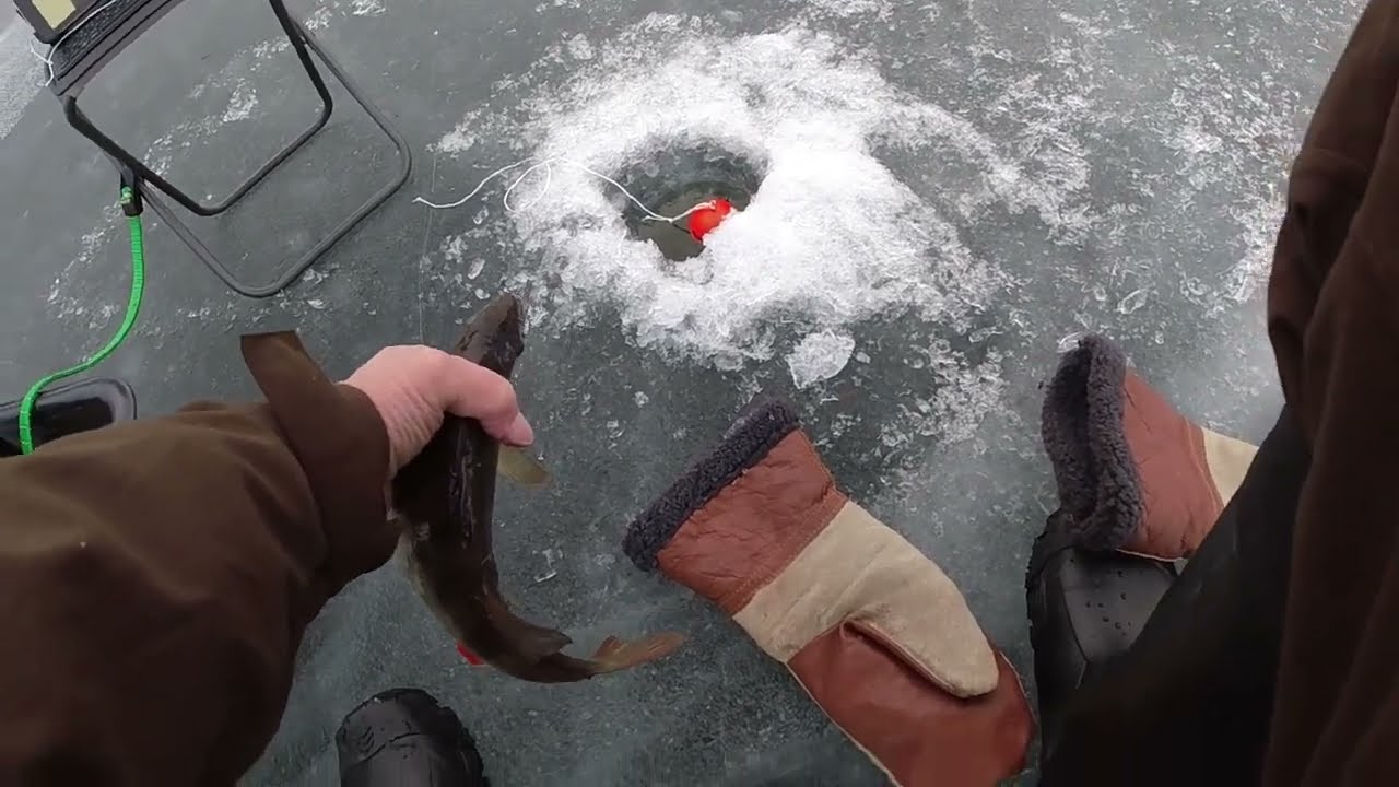 Pimpelfiske Albysjön Tyreso Sweden  Ice fishing Sweden  Albysjön Tyreso Pilkkikalastusta. 2022.01.28
