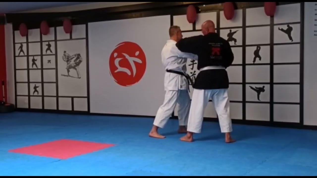 Karatepraxis Shotokan Kata Bunkai Heian Nidan: Warum schon wieder 4 Shuto Bewegungen