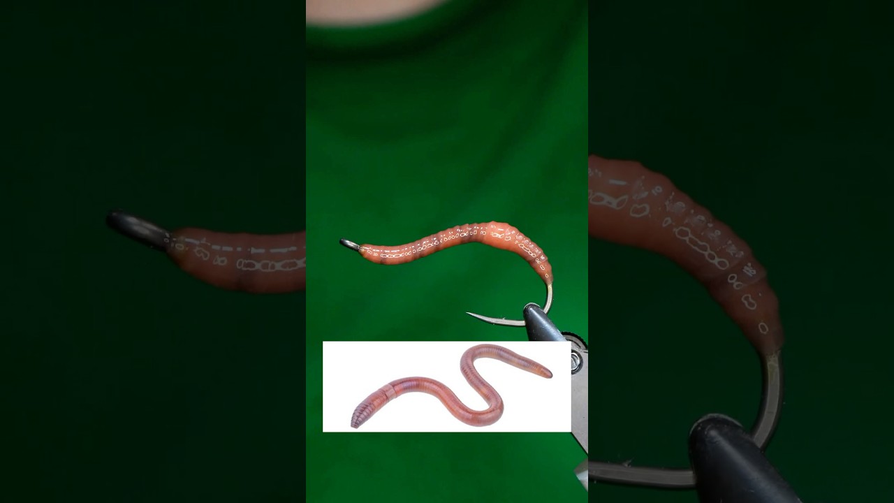 Earthworm Fly!