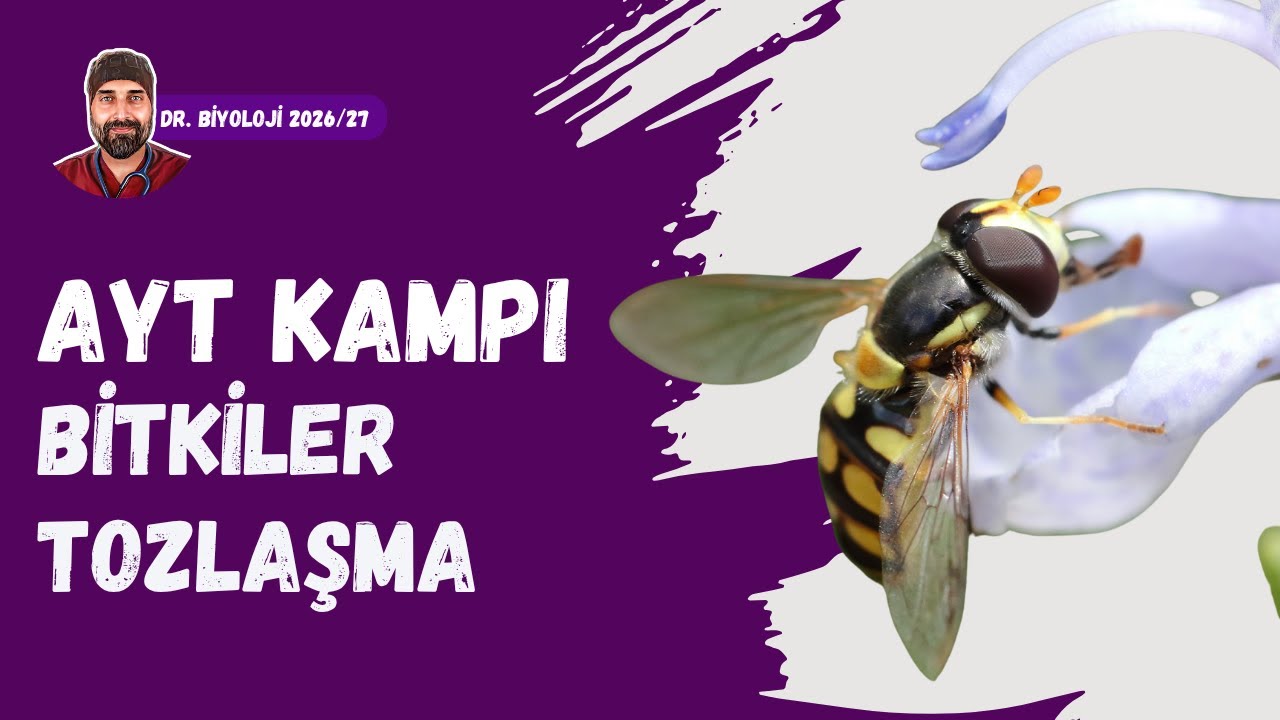 Bitkilerde Üreme Tozlaşma | Dr. Biyoloji | AYT Dönem 2026 - 2027