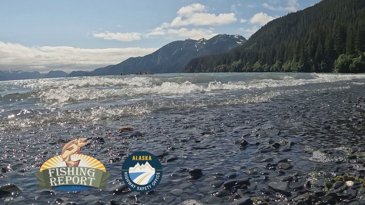 Fishing Report: Celebrating Independence Day on the Seward Coast