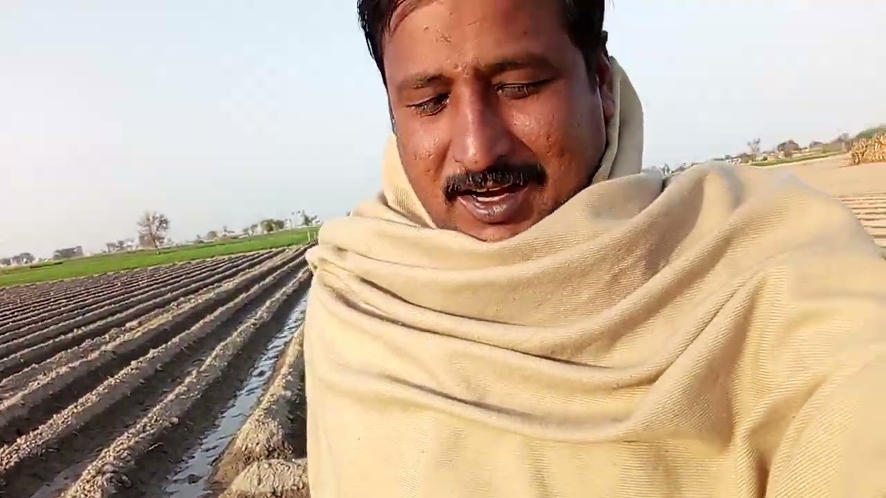 فصل دی معلومات اج تک ماریہ مکی کی معلومات،#👍🎉😭