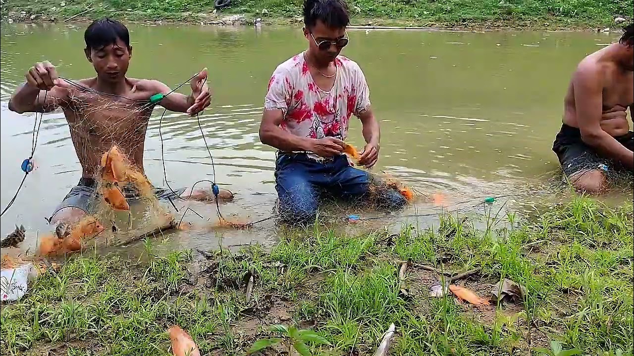 JARING PENUH DENGAN IKAN INI ‼️kerajaan ikan red devil #mancing #fishing #mancingmania 