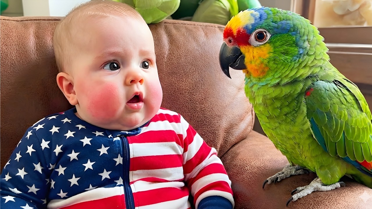 Babies Meeting Parrot for the First Time: This Baby vs parrot Is Too Funny