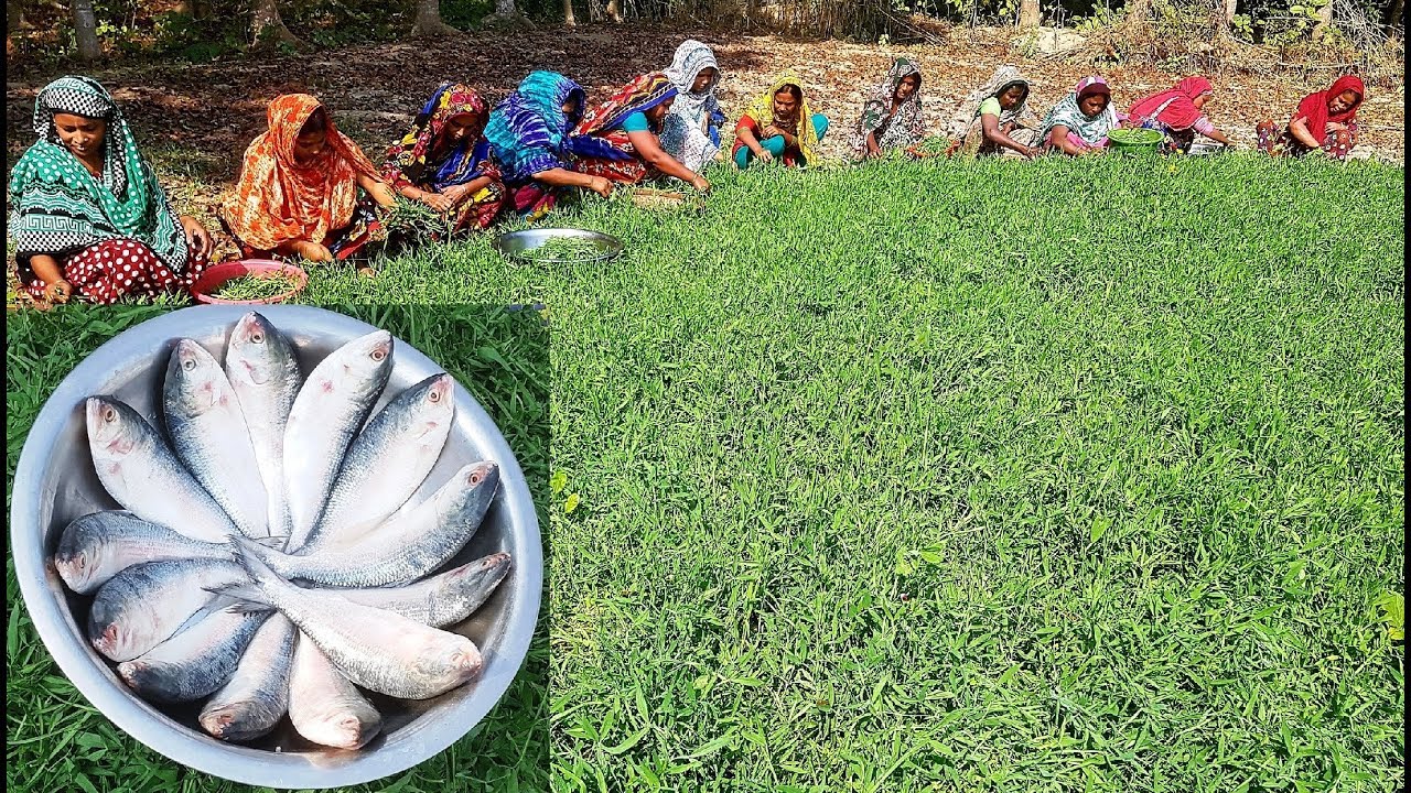 Green Pea Spinach Fest With Expensive Hilsa Fish - Healthy & Tasty Village Style Mashed Cooking
