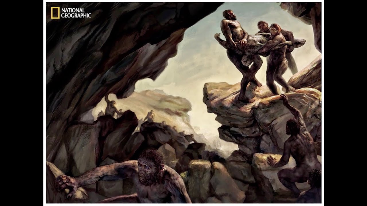The Context of Fossil Hominid Discoveries in Africa