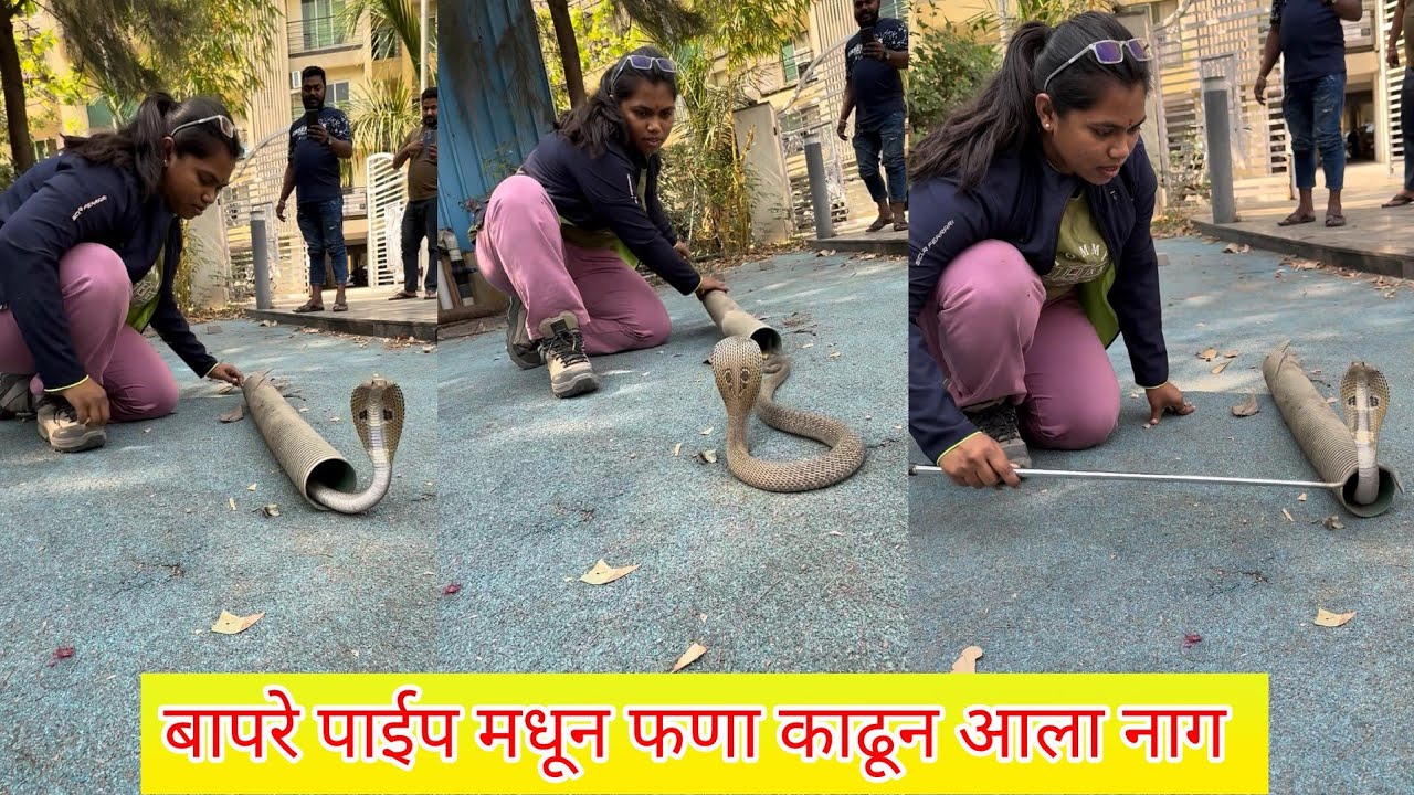 😱😱बापरे पाईप मधून फणा काढून कोब्रा 🐍 आला बाहेर😳😳