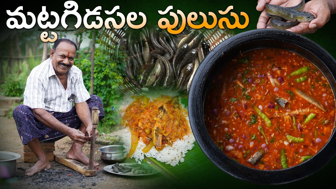 Buradamatta chepala pulusu / మట్టగిడసల పులుసు || Village Style Spotted Snakehead Fish Curry