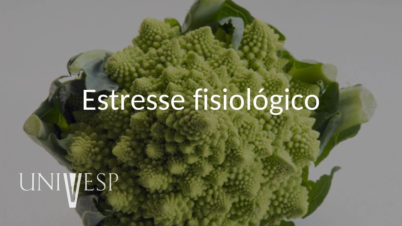 Fisiologia Vegetal - Aula 13 - Estresse fisiológico