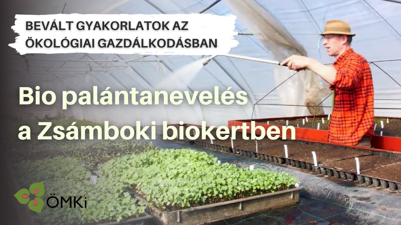 Bevált gyakorlatok az ökológiai gazdálkodásban - Bio palántanevelés a Zsámboki biokertben