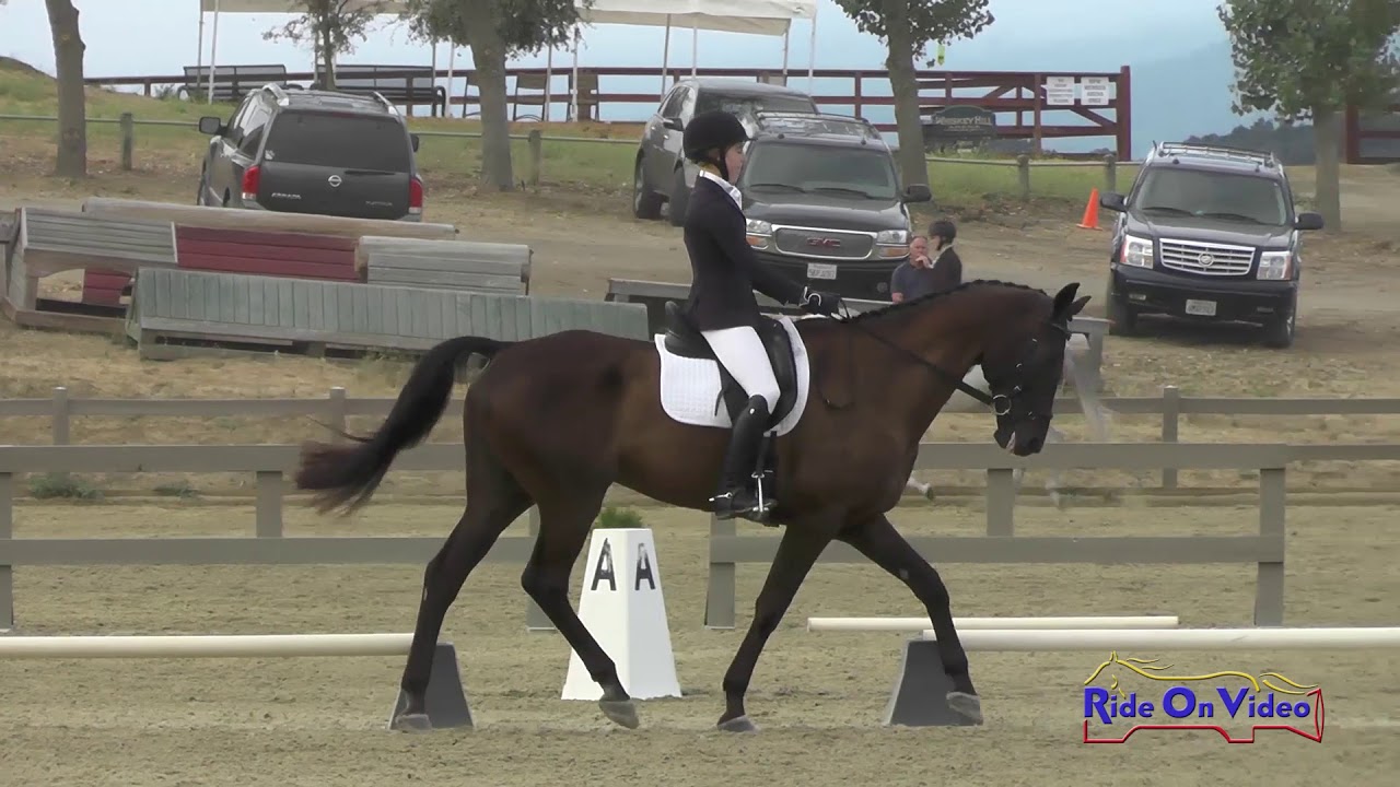 028D Brianna Maroney on Kaala Jaadu Preliminary Rider Dressage Woodside August 2017