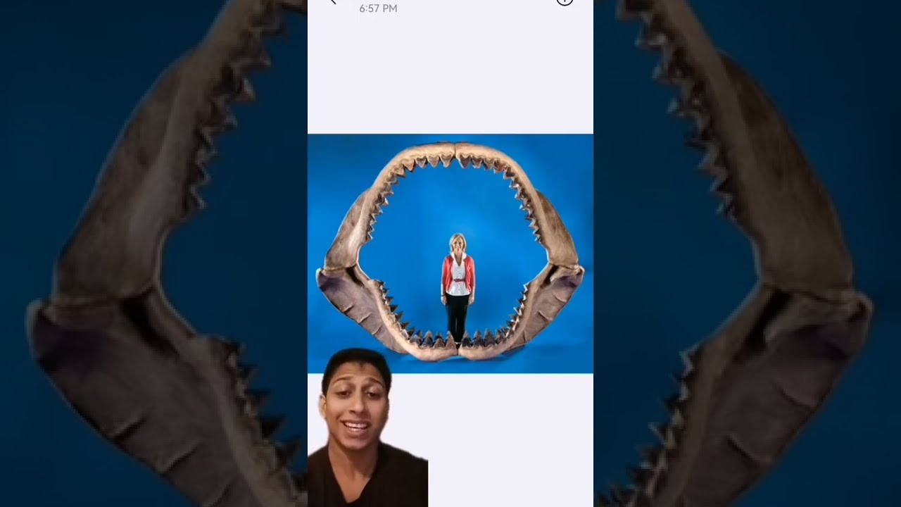 MEGALODON තාම ඉන්නවද? #anarchysaurus #megalodon