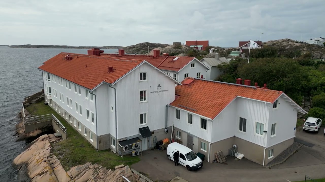 Forskning på Havsfiskelaboratoriet i Lysekil