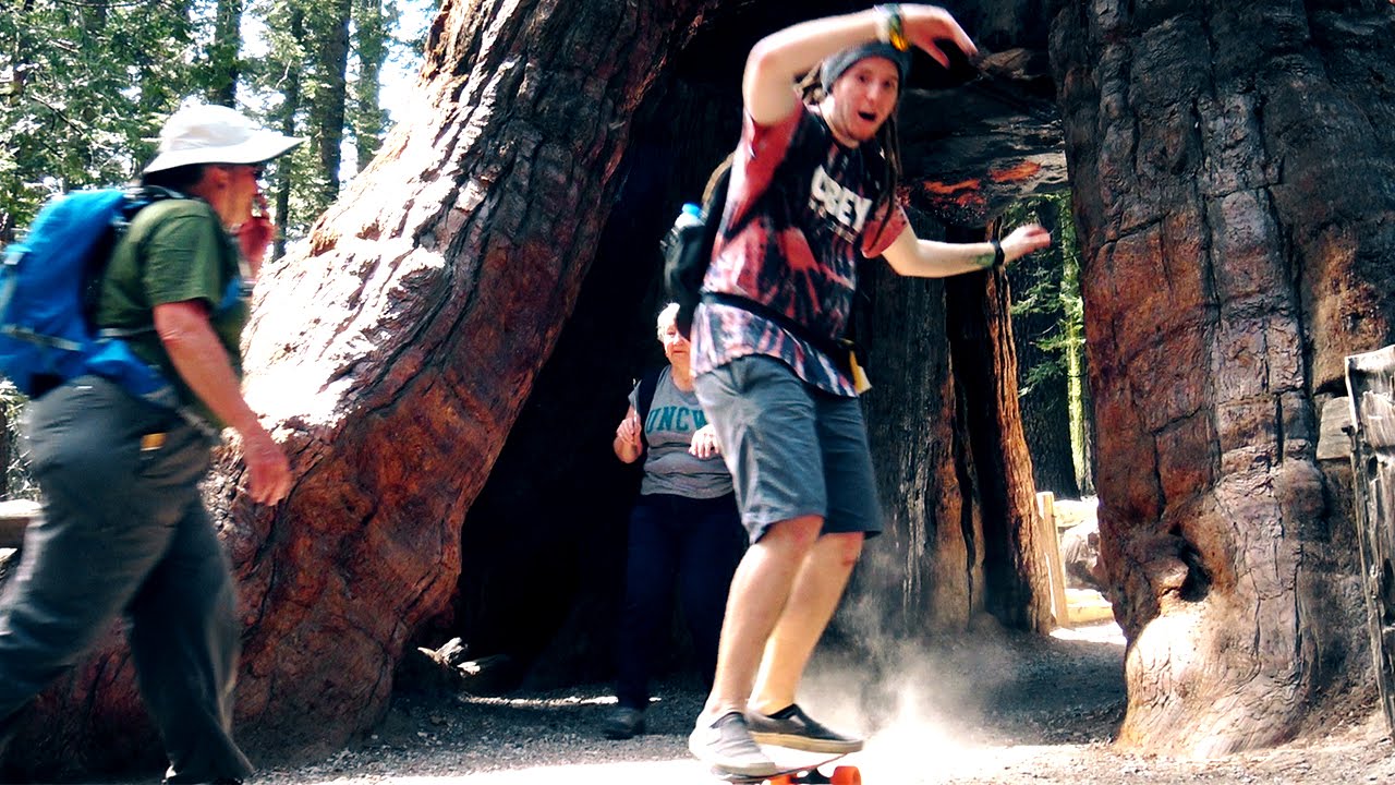 Mit dem LONGBOARD durch einen MAMMUT-BAUM! | unge