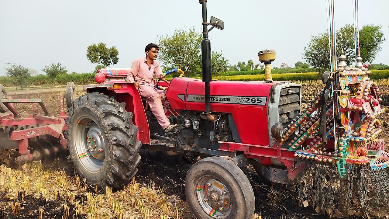MF 265 Special || Model 1986 || Performance on Disc Harrow Full Open. @awantractors