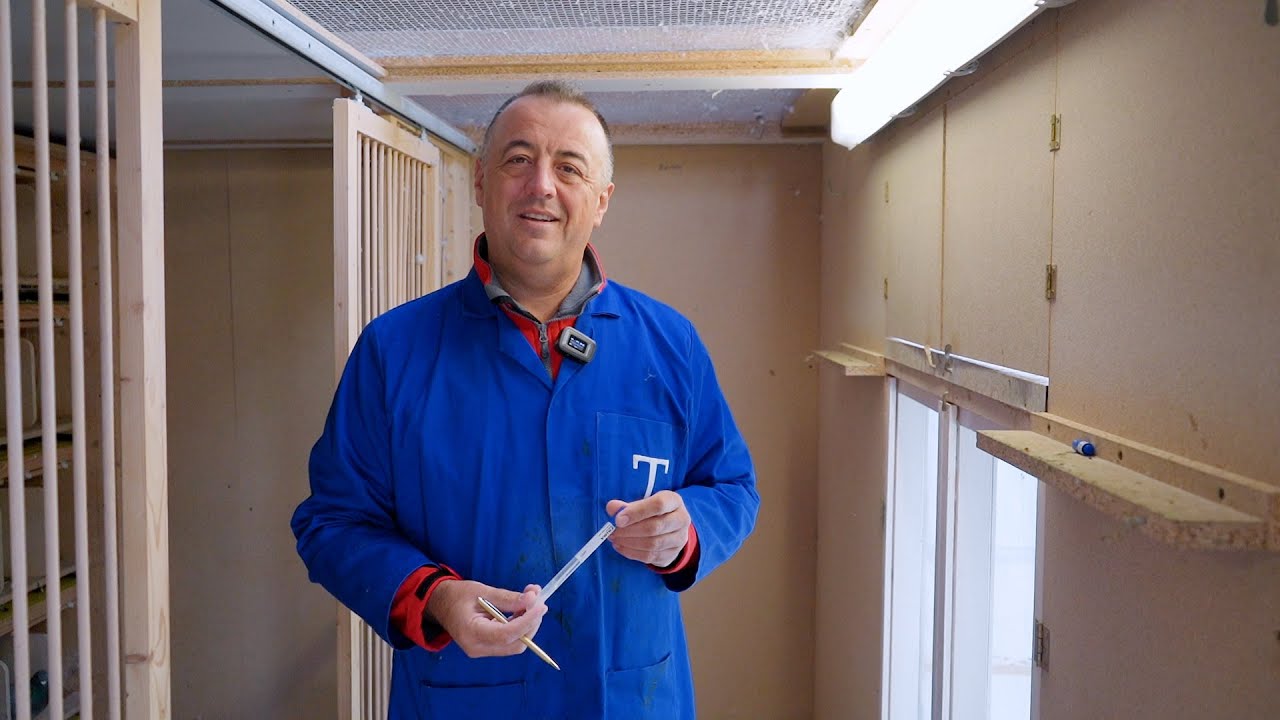 Руководство по медицинским тестам для гоночных голубей