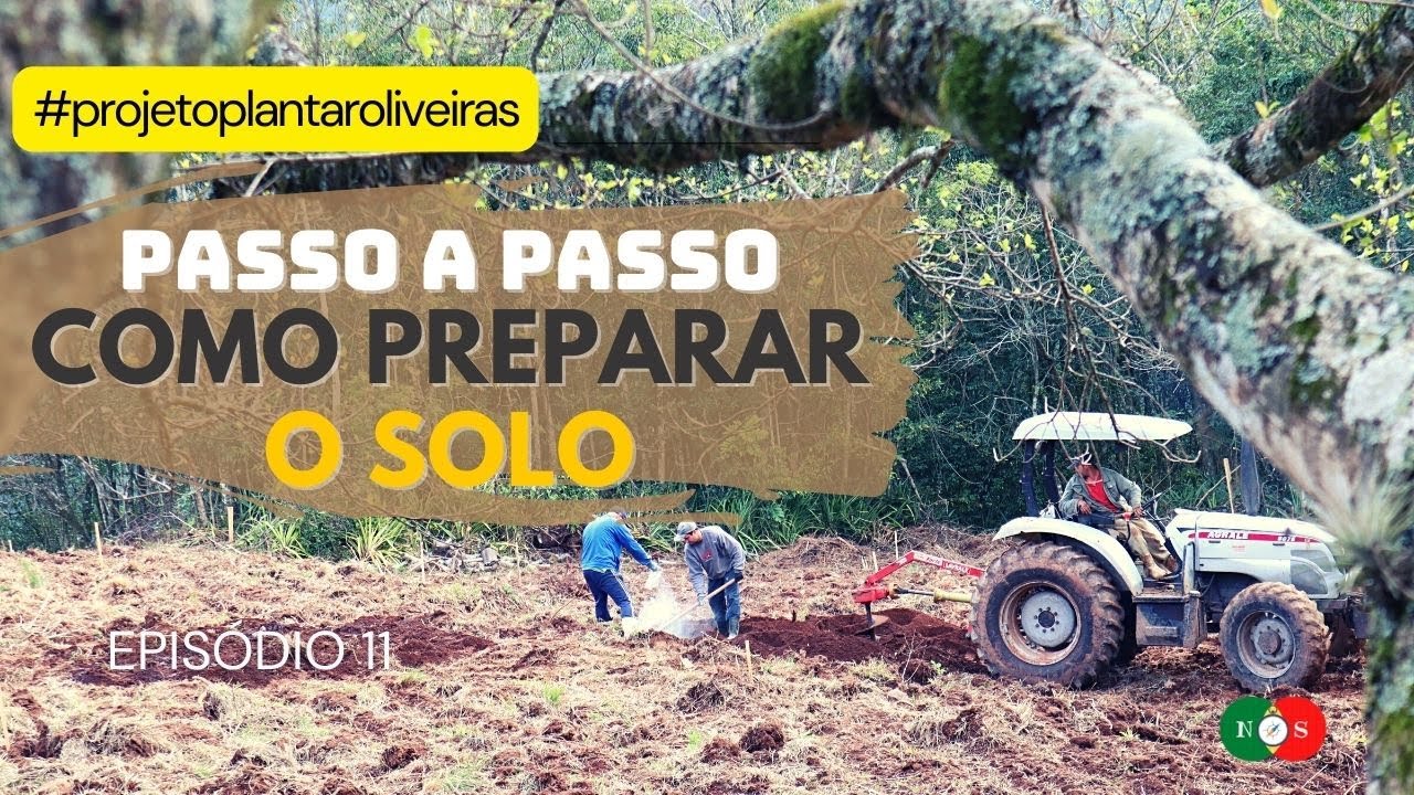 O PASSO A PASSO DE COMO PREPARAR O SOLO PARA PLANTAR OLIVEIRAS. EP. 11