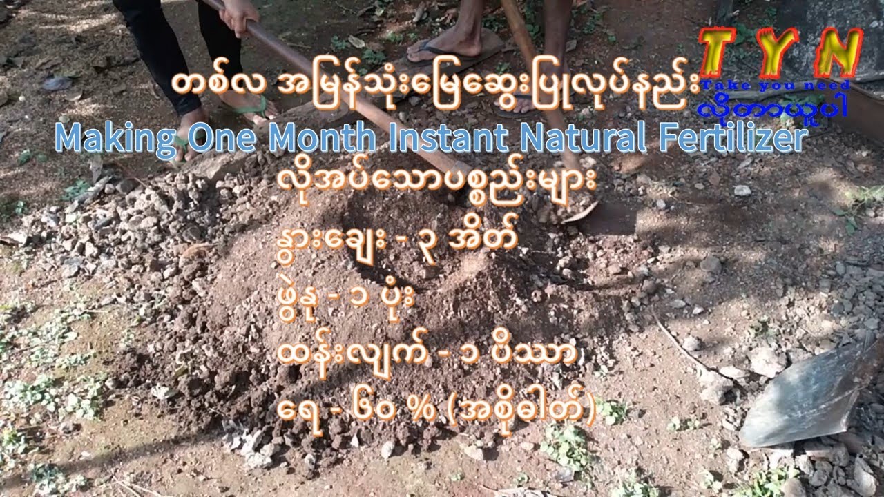 Making One Month Instant Natural Fertilizer တစ်လ အမြန်သုံးမြေဆွေးပြုလုပ်နည်း