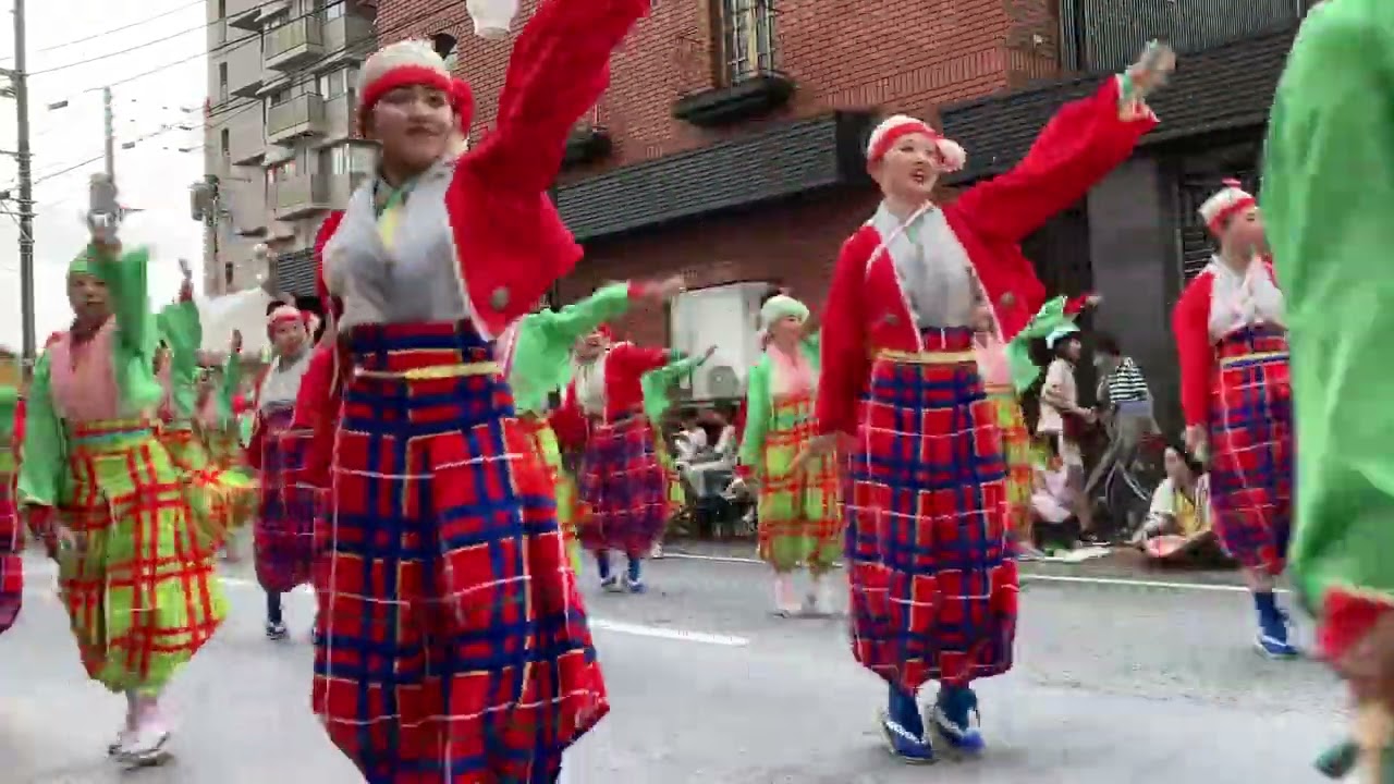 だるま　万々商店街　20240810　yosakoi よさこい祭り