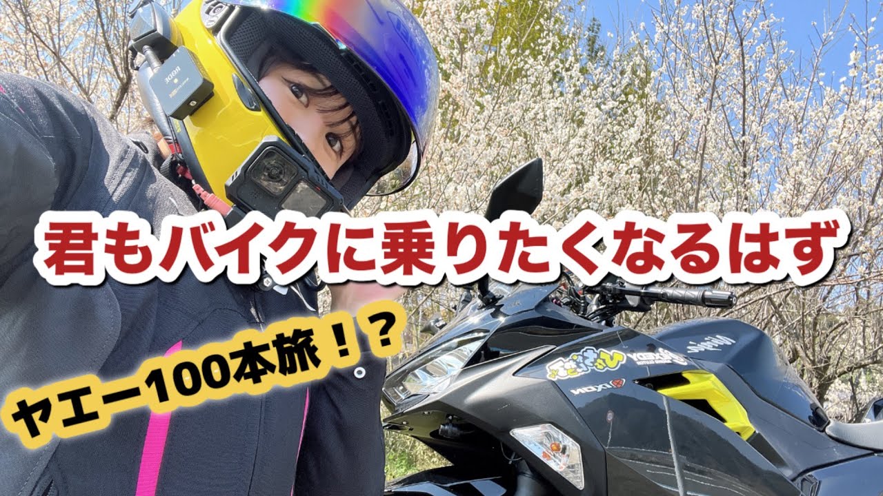 天橋立・丹後半島まで海鮮丼目指してヤエー旅したらバイクやっぱり最高すぎた《Ninja400》《バイク女子》