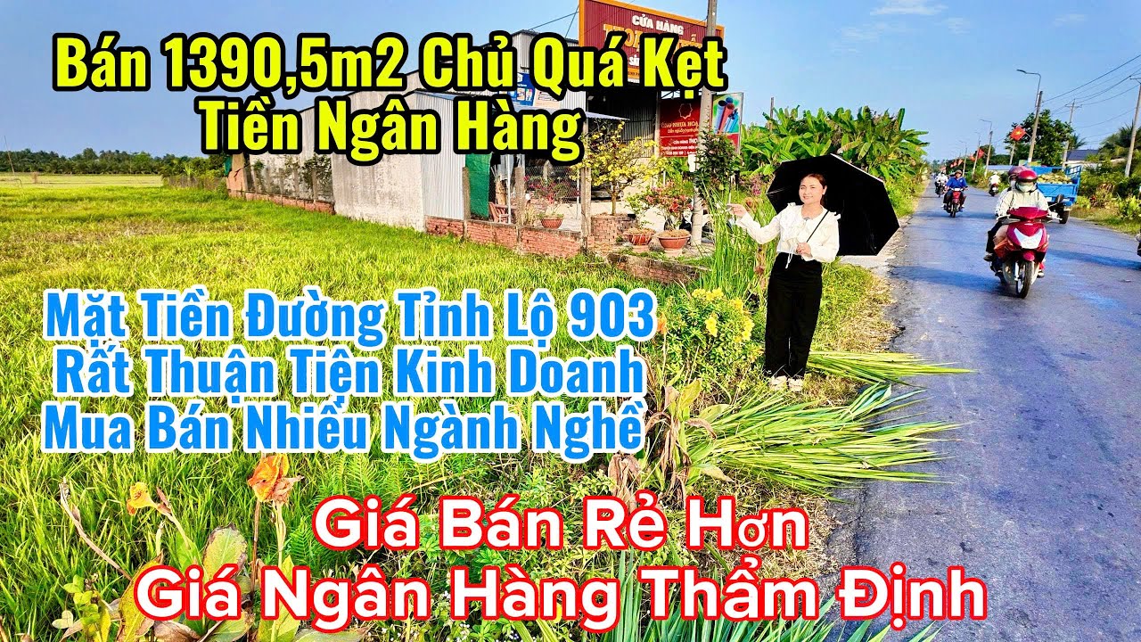 siêu phẩm đất mặt tiền 1390,5m2 đường tỉnh 903 giá rẻ huyện mang thít vĩnh long