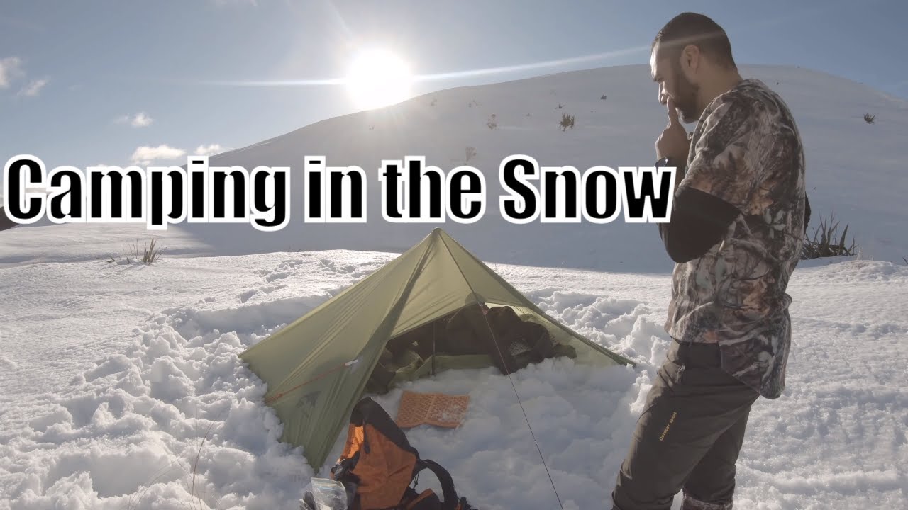 Winter Camping - Tarp, bivy and dog
