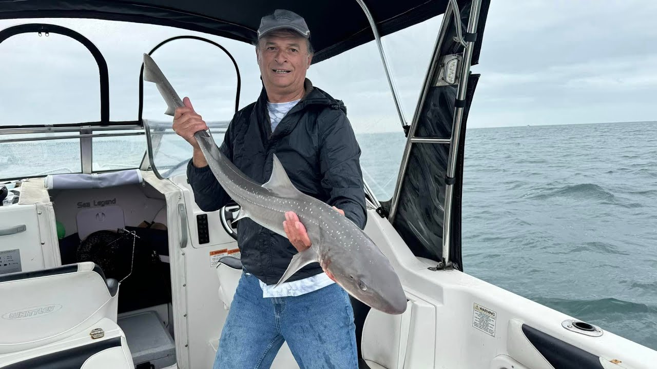Happy Fisherman   EP88 Gummy Shark on KGW setup