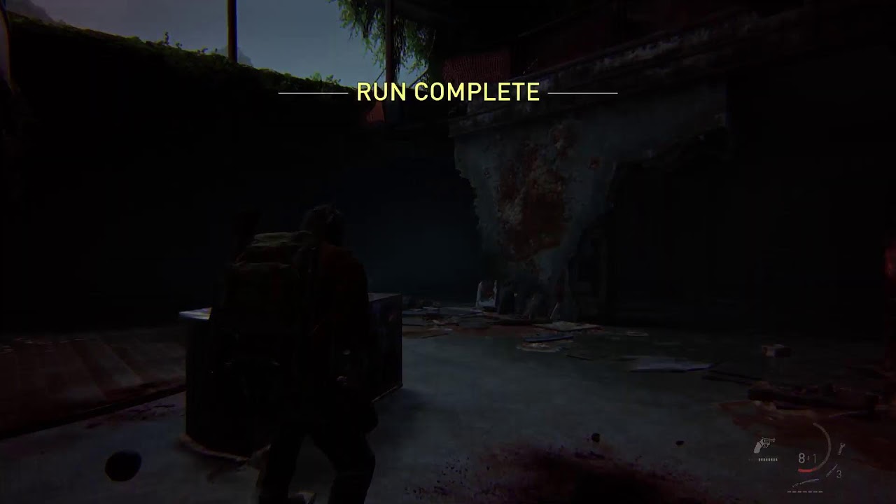 Last of Us Part 2 No return