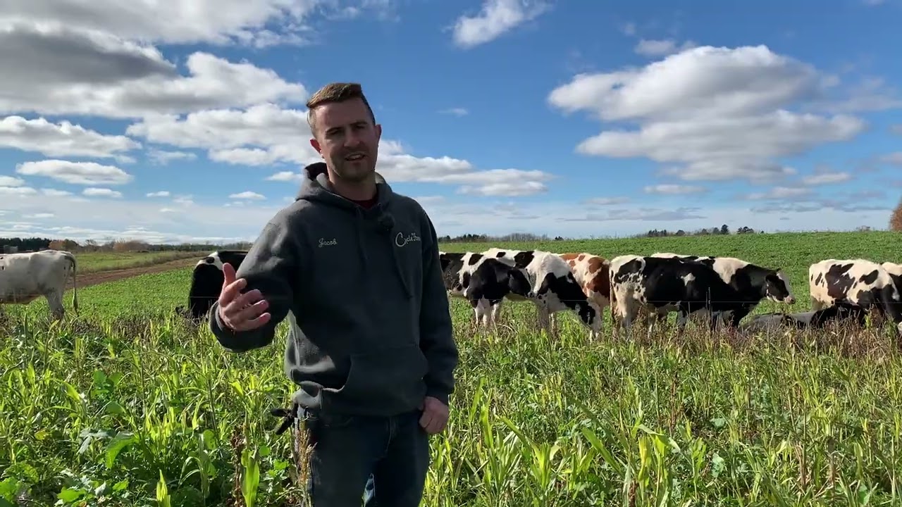 Rotational Grazing Brey