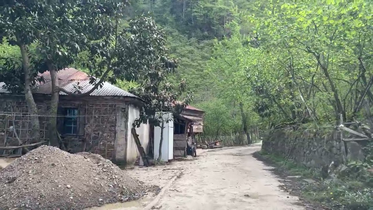 Kovanlık Düz Mahalle Çukur #giresun #bulancak #karadeniz #yayla #huzur