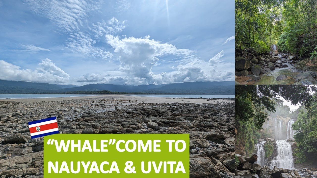 Pura-fying our Vidas | Navigating the BUMPY Road to Nauyaca Waterfalls