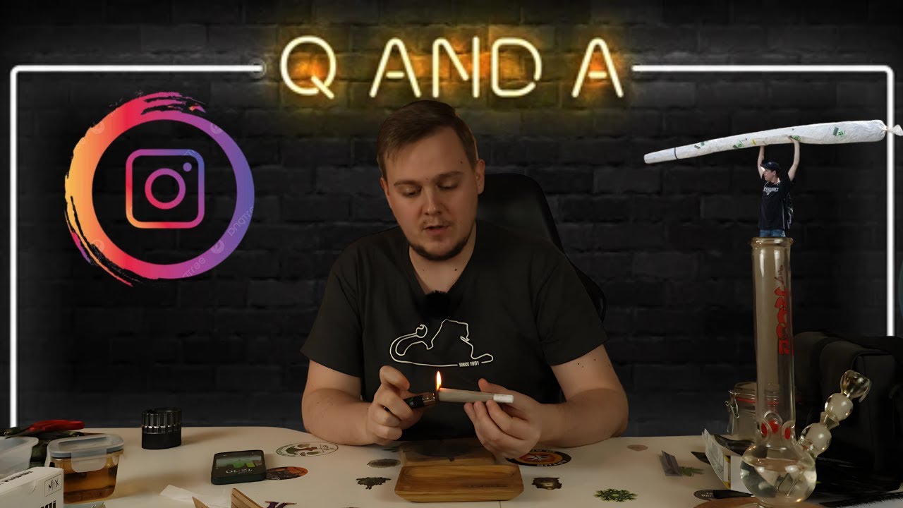 Q&A Sa Instagrama 3 - 3 Grama Buksna (KOLIKO GRAMA TOLIKO PITANJA)