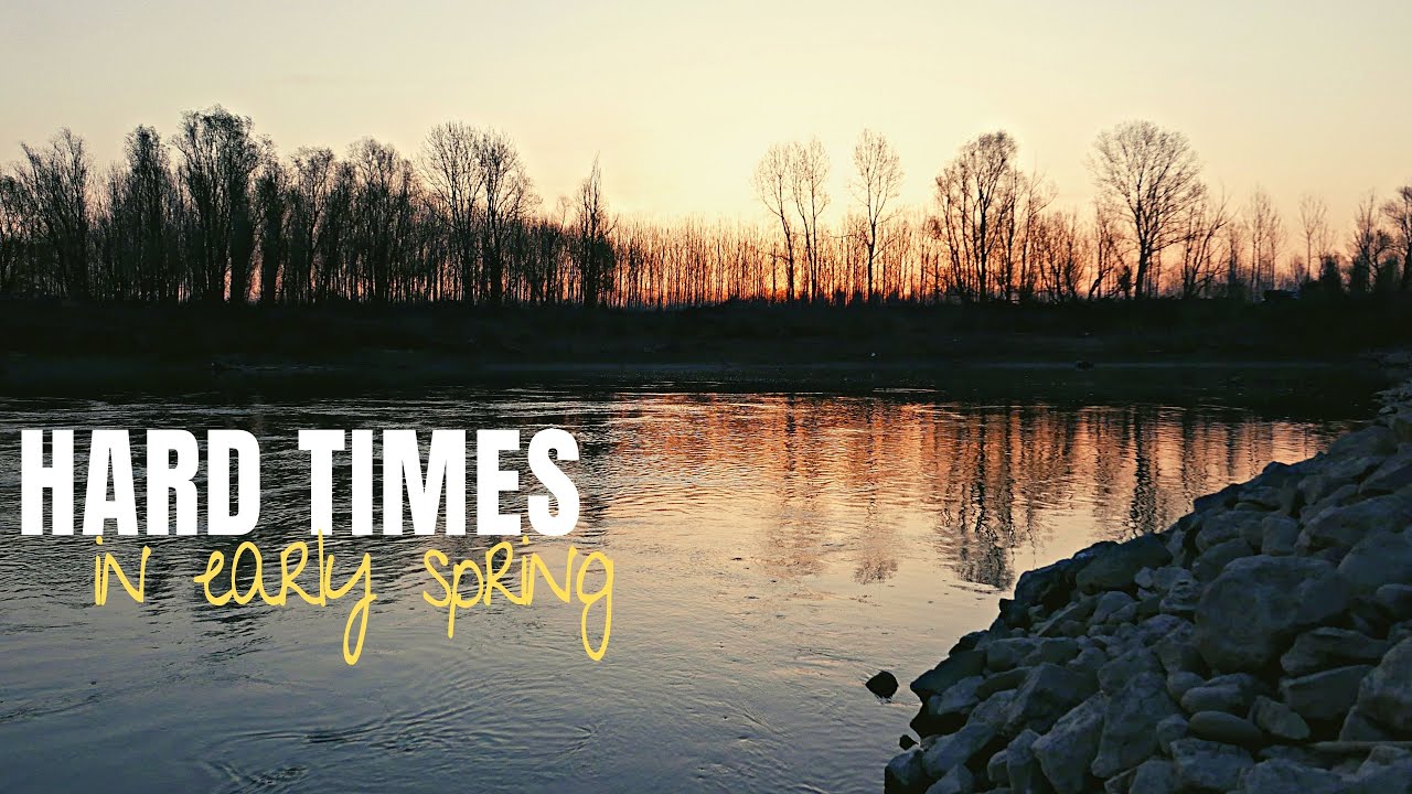 HARD TIMES Fishing for Zander and Asp in Early Spring