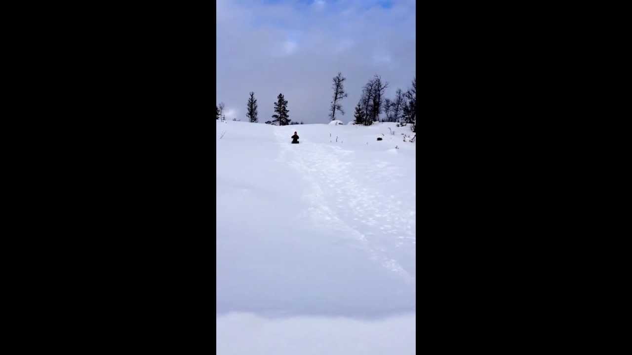 Pulkabacke fail
