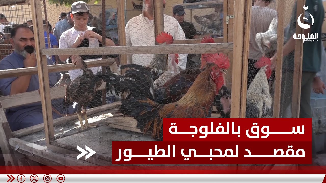 على غرار سوق الغزل في بغداد.. سوق الجمعة في الفلوجة
