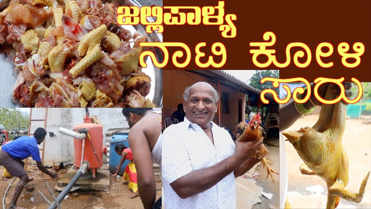 GFC ನಾಟಿ ಕೋಳಿ ಸಾರು Naati Koli Saaru - Jallipalya Ep 28 REAL NAATI Watch it to believe#gfc#gfchotel