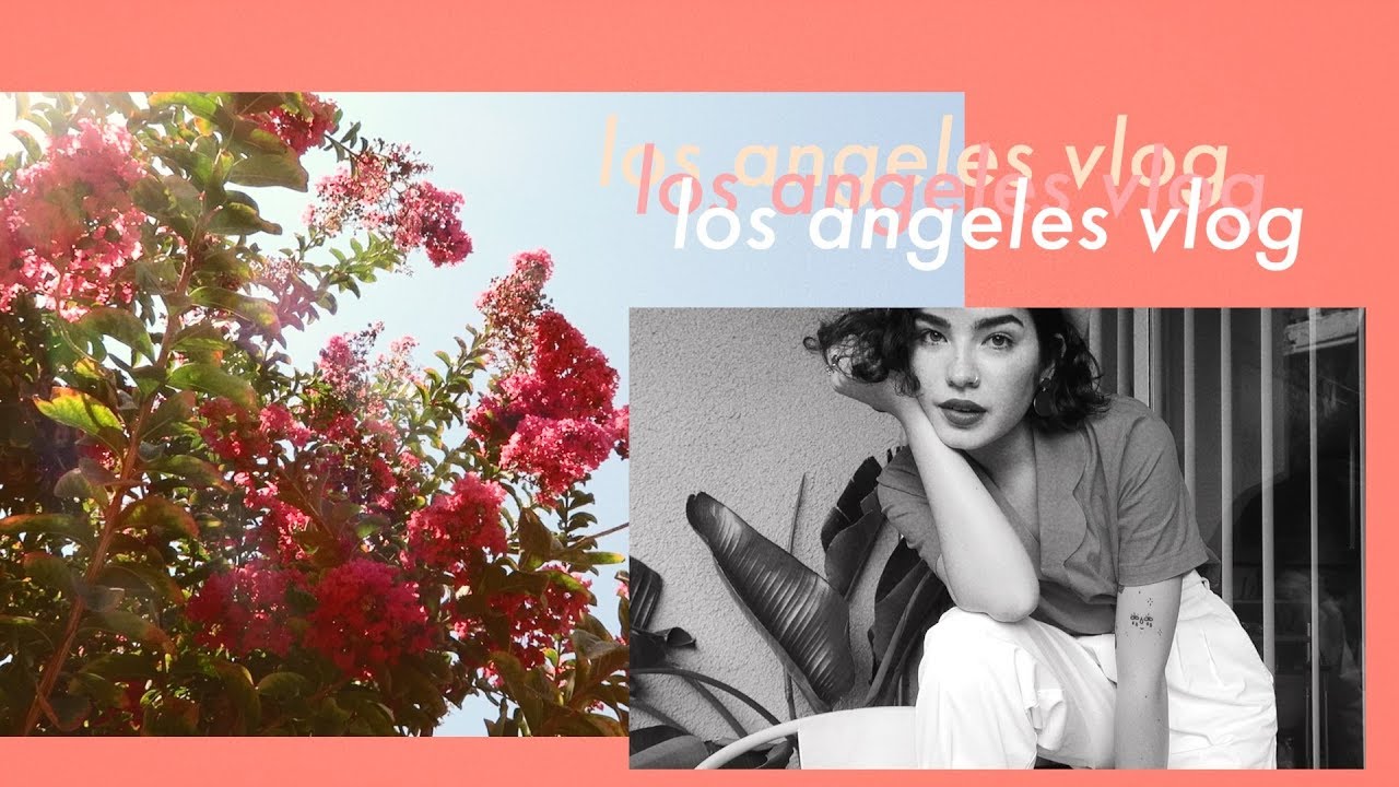 L.A. Vlog • CutiePieMarzia Haul + Molly Lewis (Whistler's Sista)!