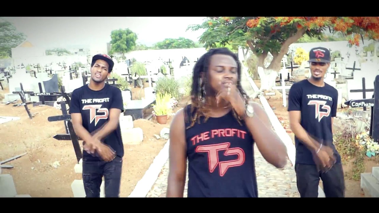 The Profit - DAN NA VIDA