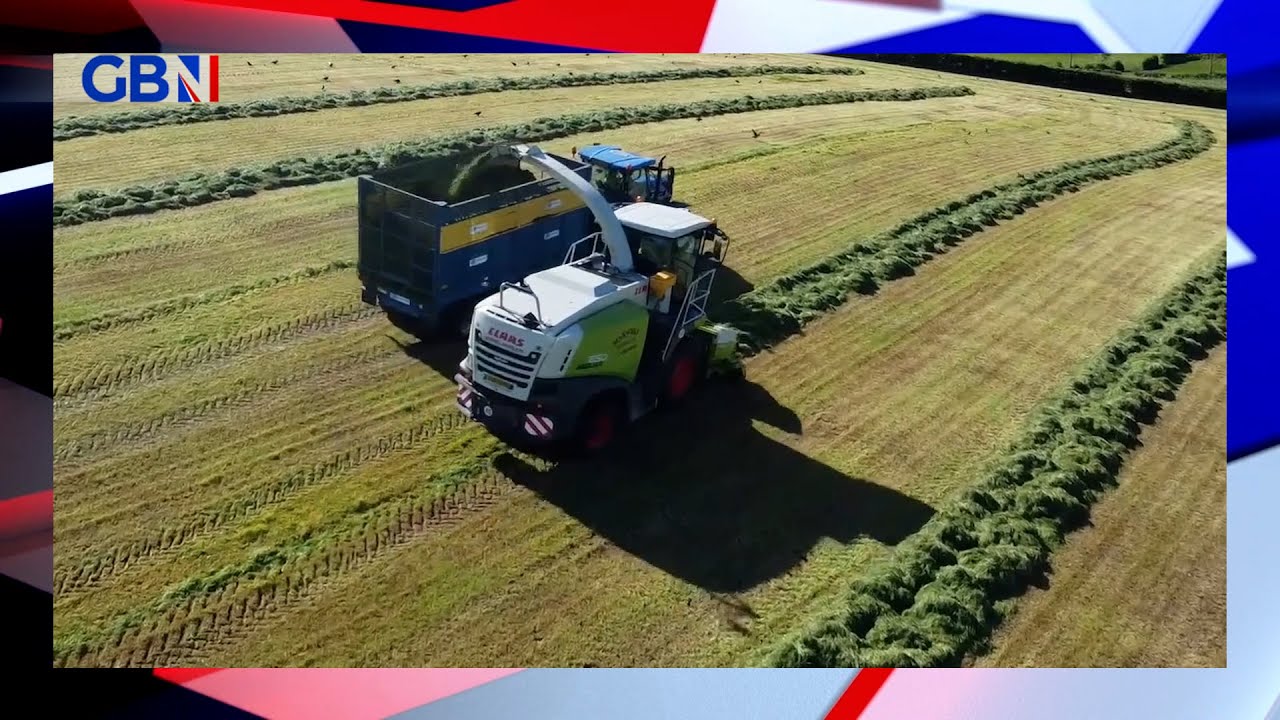 Animal feed hits record prices | Dougie Beattie reports