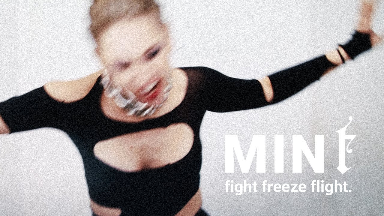 MIN t &ndash; Fight Freeze Flight (Official Music Video)