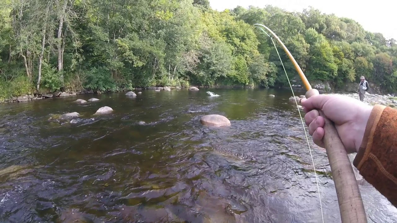 9lb Salmon - South Esk 15/09/2018