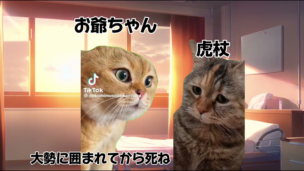 呪術廻戦1話を雑にまとめてみた#猫マニ #猫ミーム #catmemes