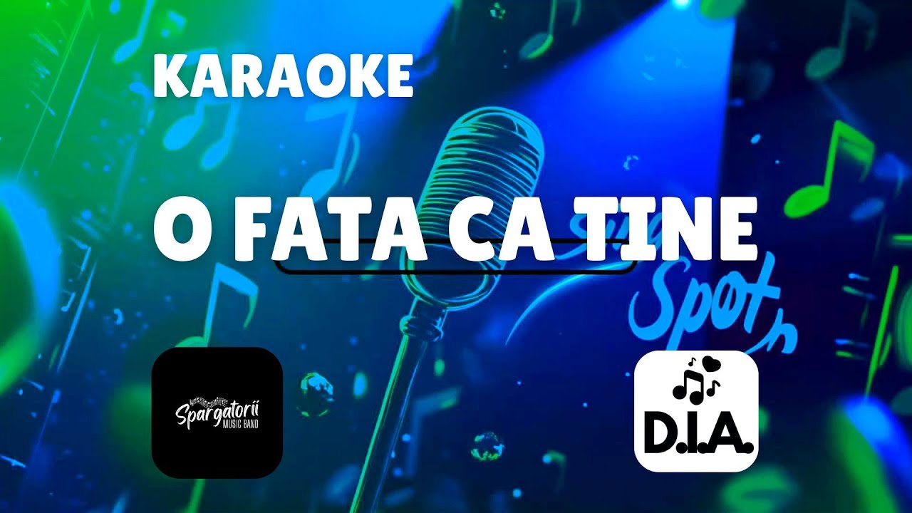 O fată ca tine, by Spărgătorii de semințe (Karaoke)