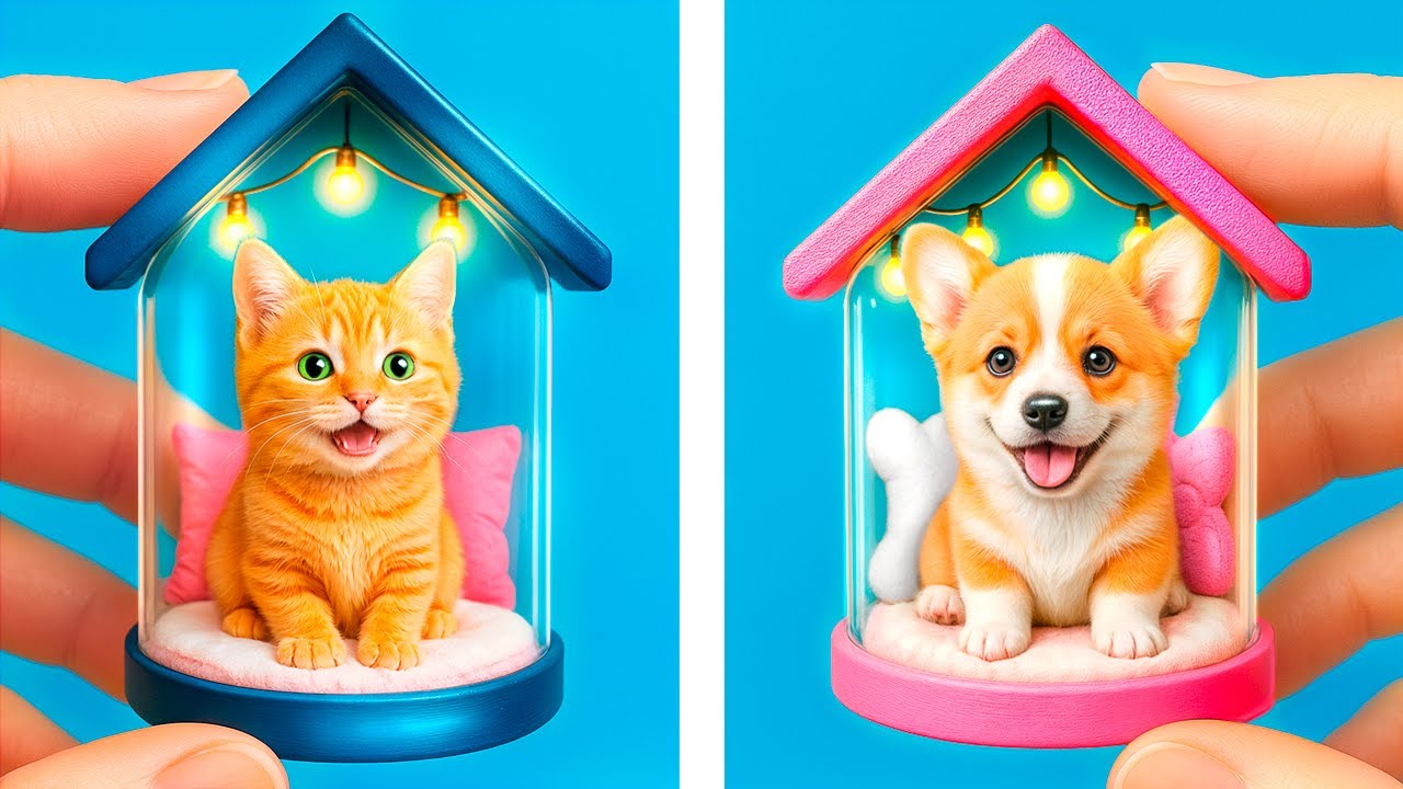 Construímos uma Mini Casa para Animais de Estimação! Como Cuidar dos Teus Animais!