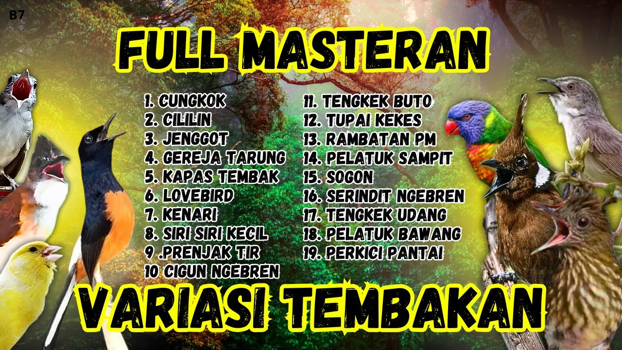 🔴 MASTERAN ‼️ FULL ISIAN MURAI BATU GACOR