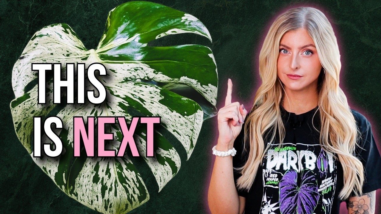 The Plant Market Is About to Change Again (2026 Predictions)
